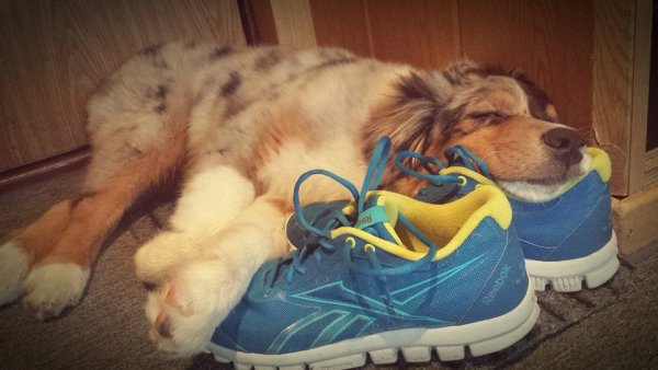 10670008_882264375126446_4929750581672729253_n