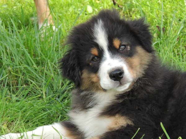 10683645_852630298080945_297621270243778022_o