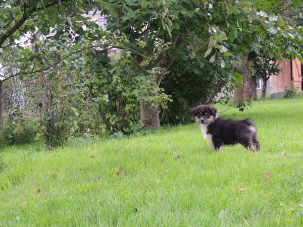 1090893_847919671885341_6305096721245782762_o