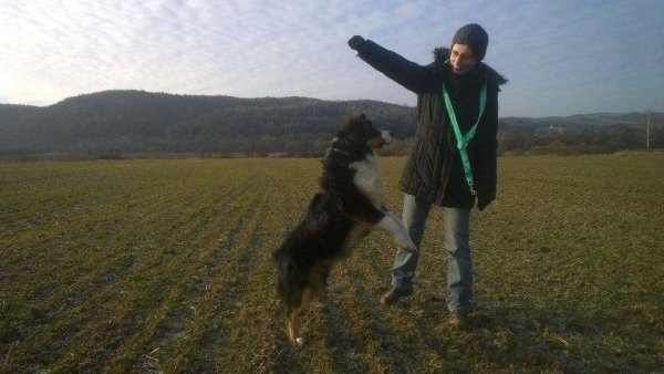 10922207_916689681675006_1068460214_n