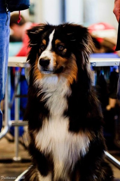 10982951_1076419235708175_2879861412745289833_n