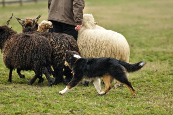 10984974_1071634719519960_4155772954078021029_n