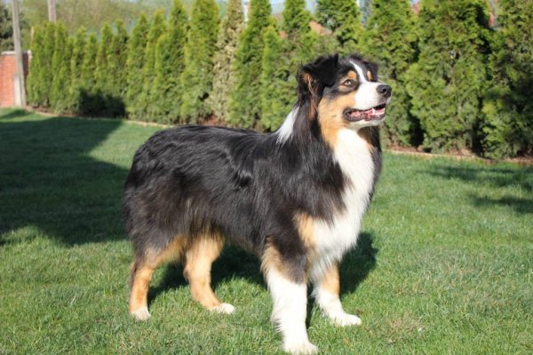 10995466_1120810014602430_5219682032566196167_n