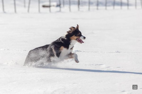 11021064_10205477291882353_8503629578460580558_n