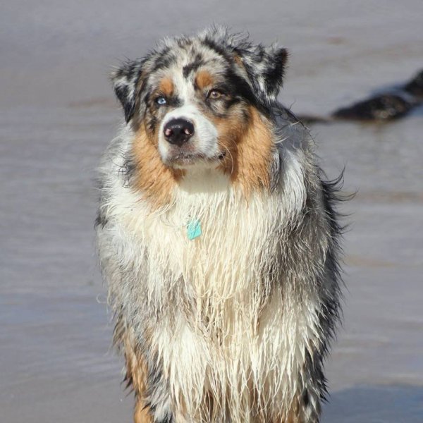 11073504_807804922643564_8828181047494311230_n