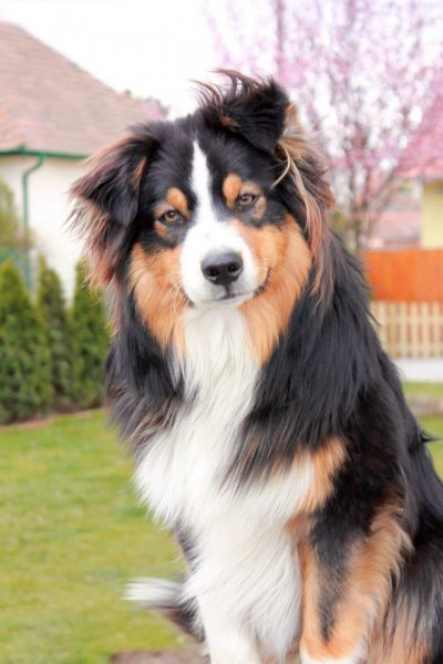 11150693_1110835232266575_2307804973533048452_n