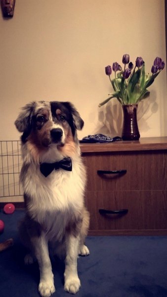 11196302_975081682511381_6254829933043327100_n