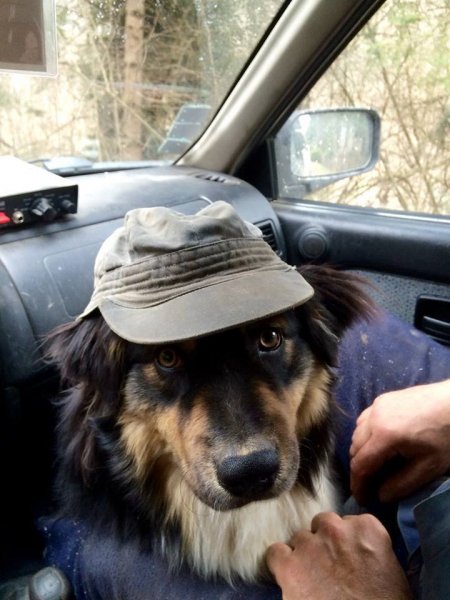 11657447_1010768042267169_1857705216_n