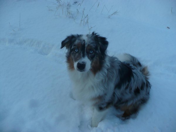 11665925_1010769448933695_704943625_o