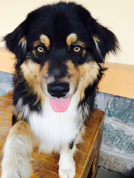 11667922_1010768018933838_1131084737_n