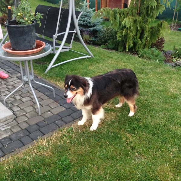 11713196_1013801745297132_1211440087_o