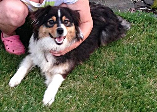 11715051_1013801781963795_1841658120_o