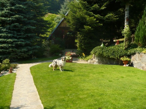 11715444_1014430918567548_575509386_o