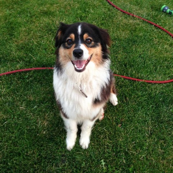 11733945_1013801768630463_893987604_o