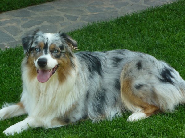 11746388_1014430958567544_106908042_o