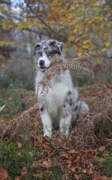 1376414_877542512256390_6641613437600484516_n