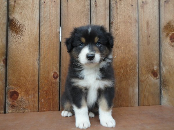 1888828_837082886302353_5845523020222765047_o