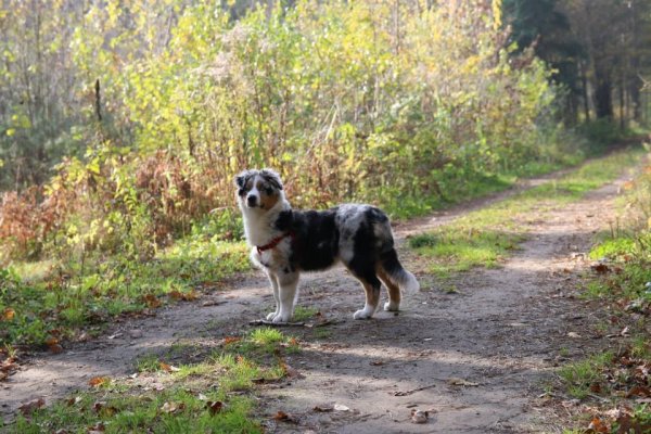 1965029_561985200599460_3714465127194107405_n