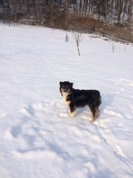 1979704_920000981343876_6975765892512649410_n